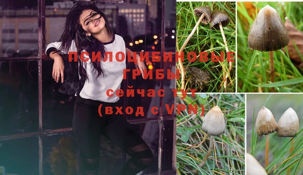 герыч Горнозаводск